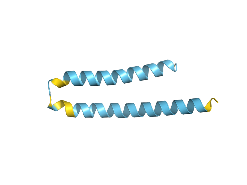 AlphaFold predicted structure of ERI1