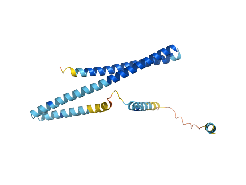 AlphaFold predicted structure of DID2
