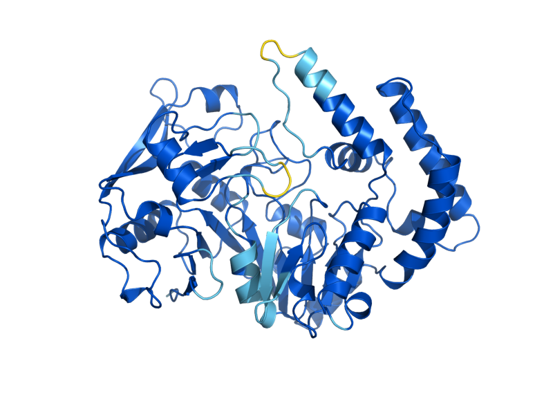 AlphaFold predicted structure of ADE12