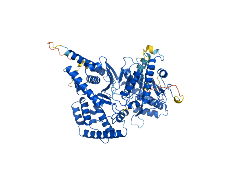 AlphaFold predicted structure of YAT1