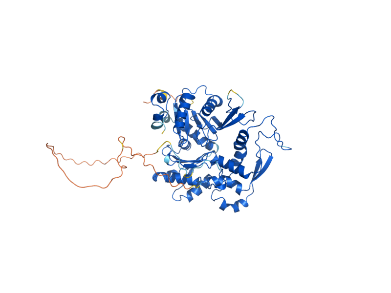 AlphaFold predicted structure of ARP4