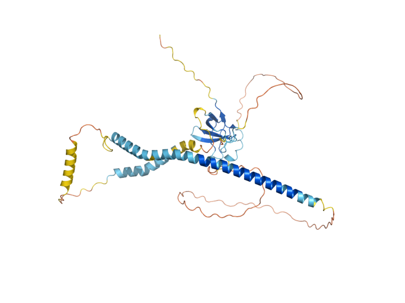 AlphaFold predicted structure of PEX13