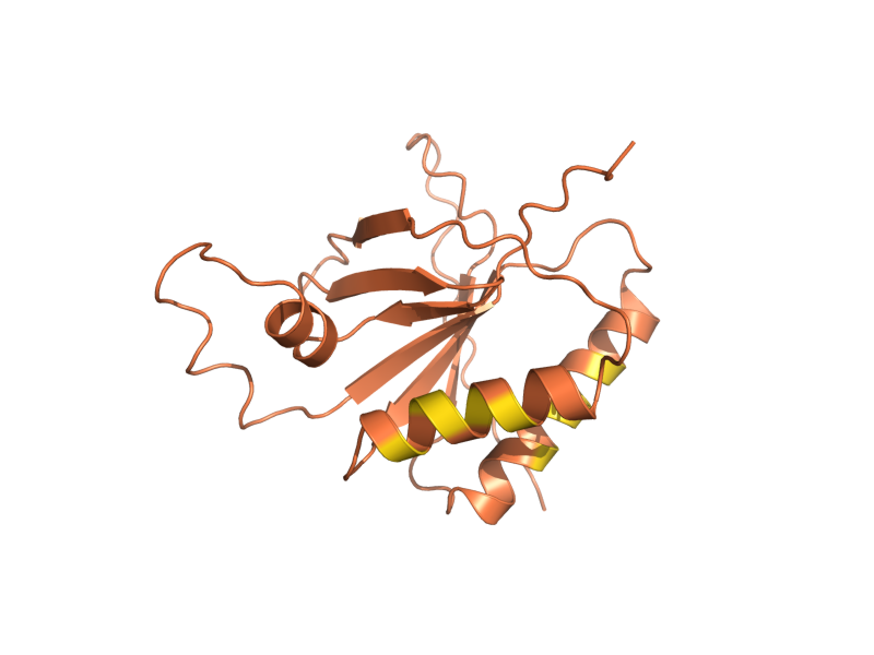 AlphaFold predicted structure of BUD25