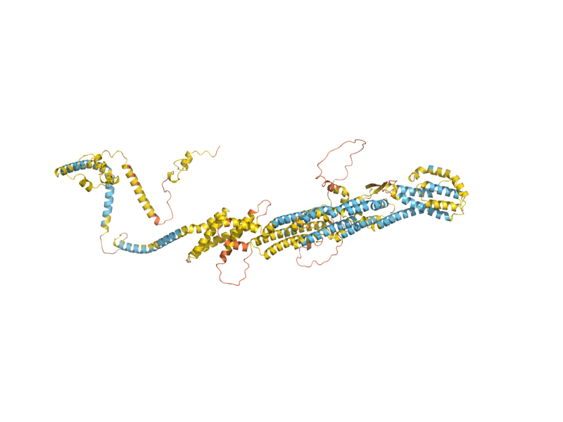 AlphaFold predicted structure of SEC5