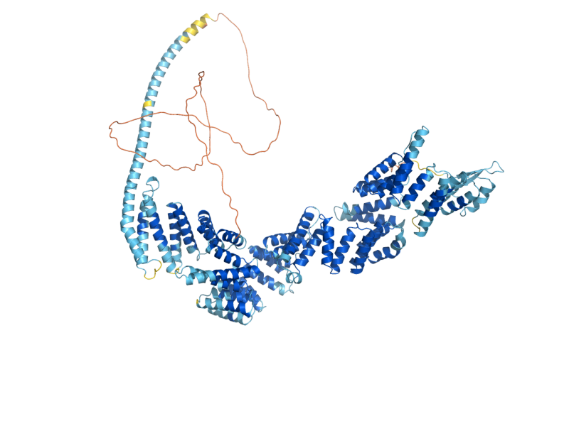 AlphaFold predicted structure of CTR9