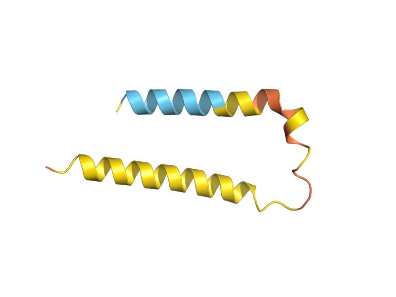 AlphaFold predicted structure of DDR2