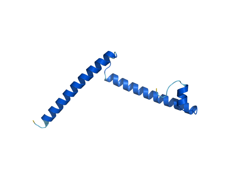 AlphaFold predicted structure of SAE3