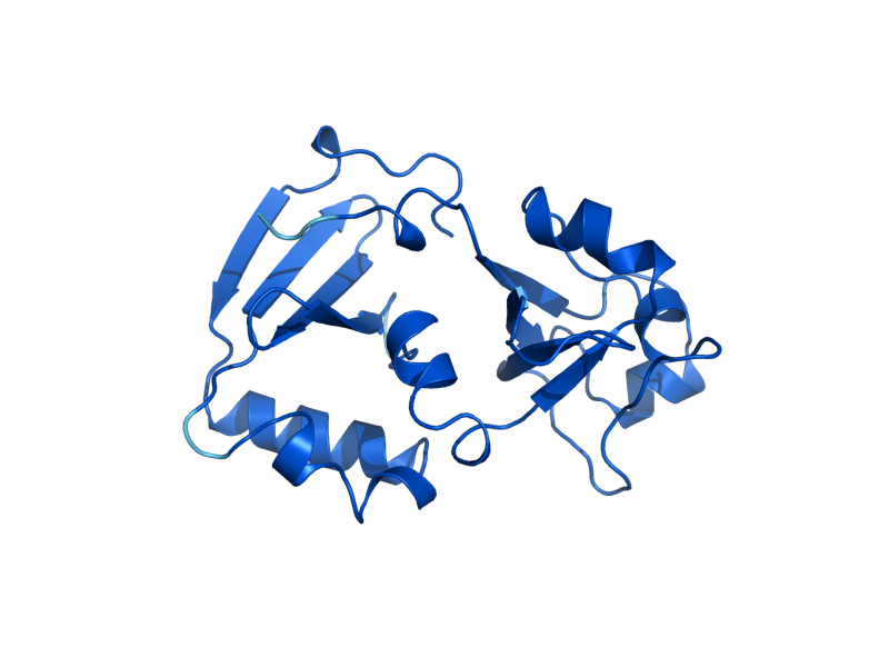 AlphaFold predicted structure of TMA20