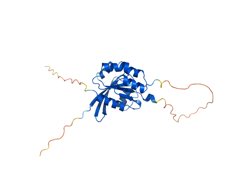 AlphaFold predicted structure of RHO3