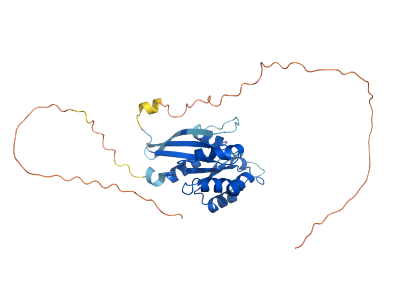 AlphaFold predicted structure of RHO4