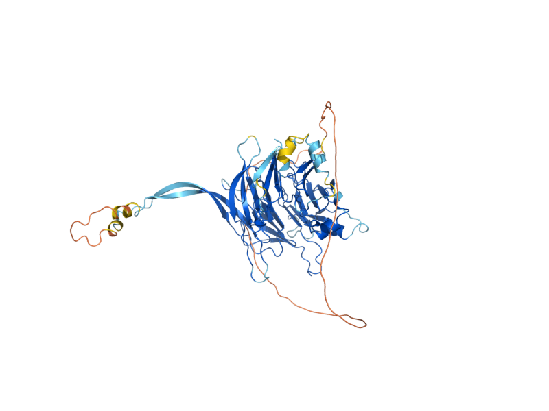 AlphaFold predicted structure of CDC55