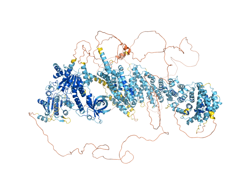 AlphaFold predicted structure of SEN1