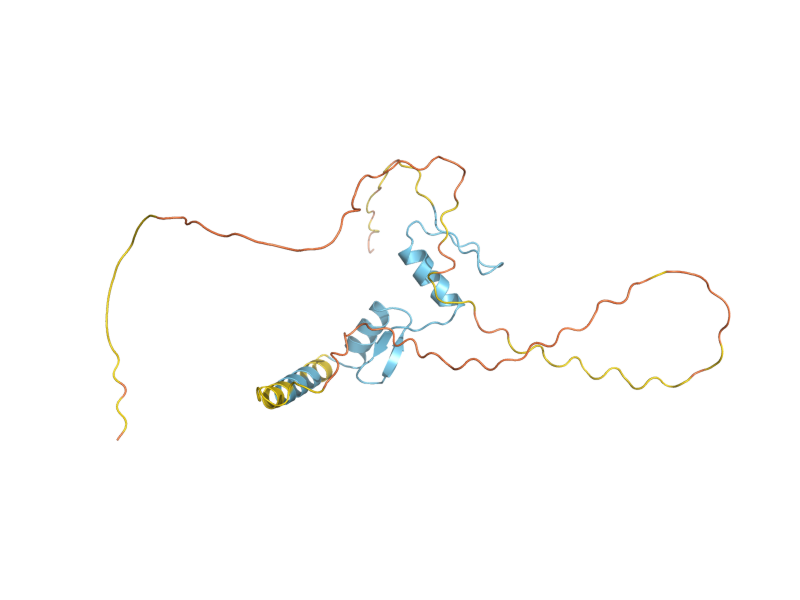 AlphaFold predicted structure of RGM1