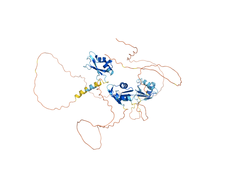 AlphaFold predicted structure of NAM8