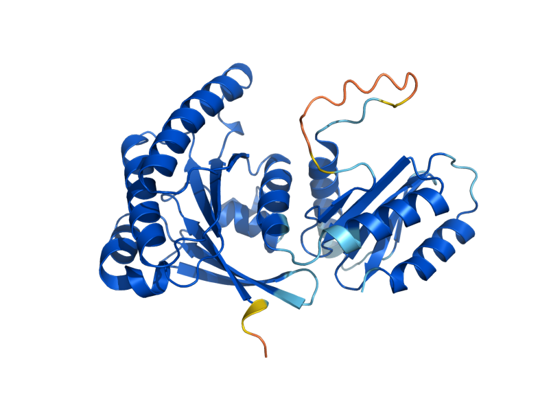 AlphaFold predicted structure of GTR1