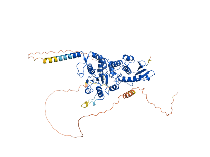 AlphaFold predicted structure of CDC14