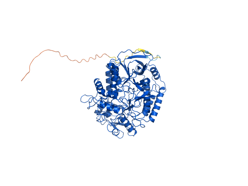 AlphaFold predicted structure of SDH1