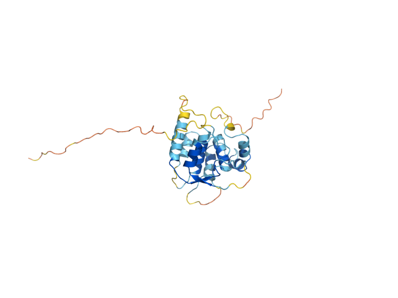AlphaFold predicted structure of PRP38