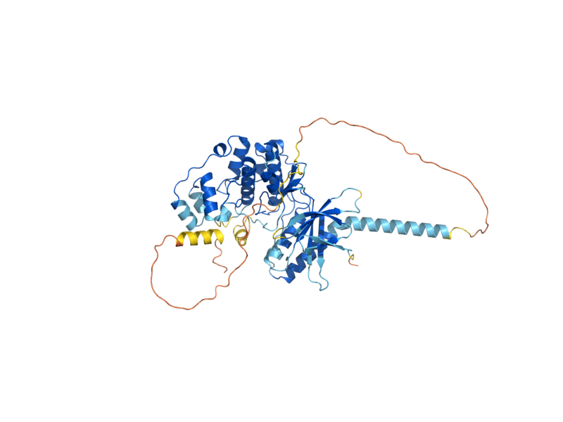 AlphaFold predicted structure of SLT2