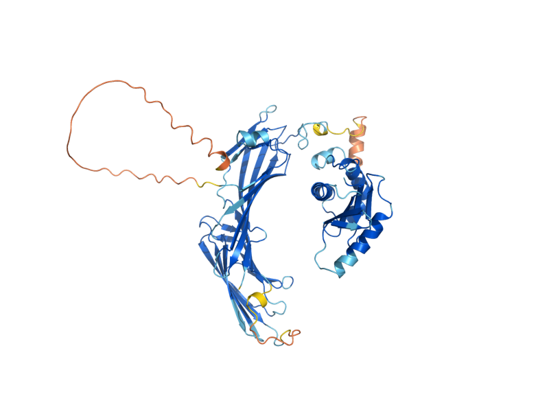 AlphaFold predicted structure of APM1