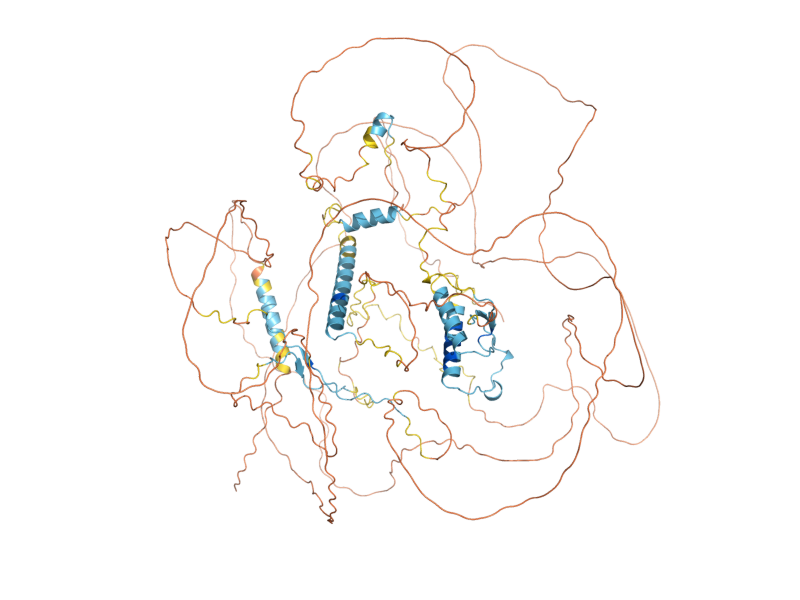 AlphaFold predicted structure of REG1