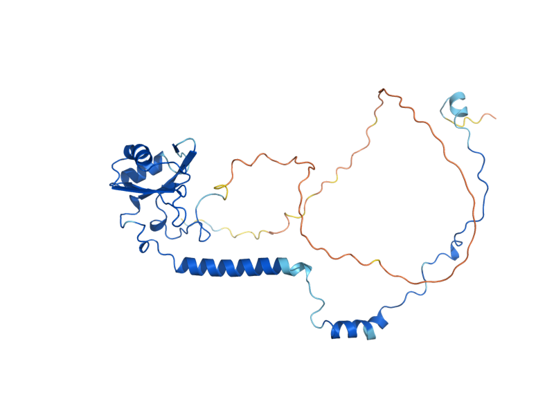 AlphaFold predicted structure of SNP1