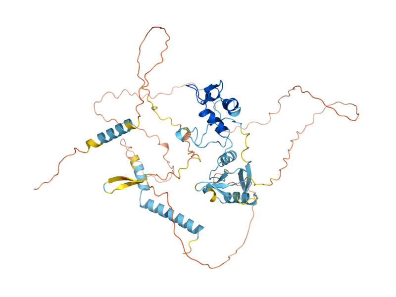 AlphaFold predicted structure of STP1