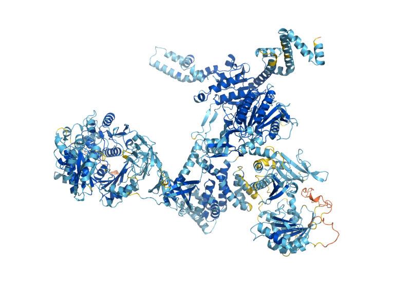 AlphaFold predicted structure of ACC1