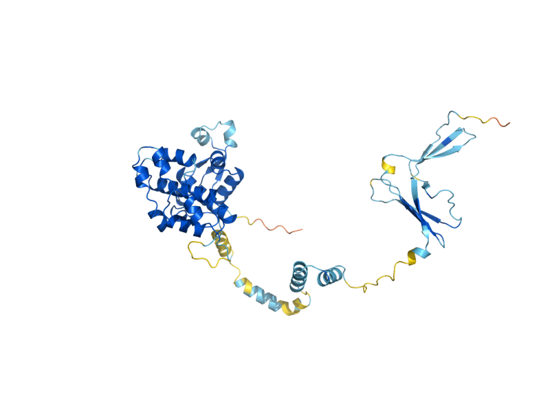 AlphaFold predicted structure of RPA49