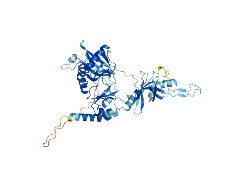 AlphaFold predicted structure of CEG1