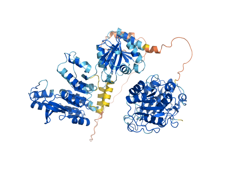 AlphaFold predicted structure of ARG56