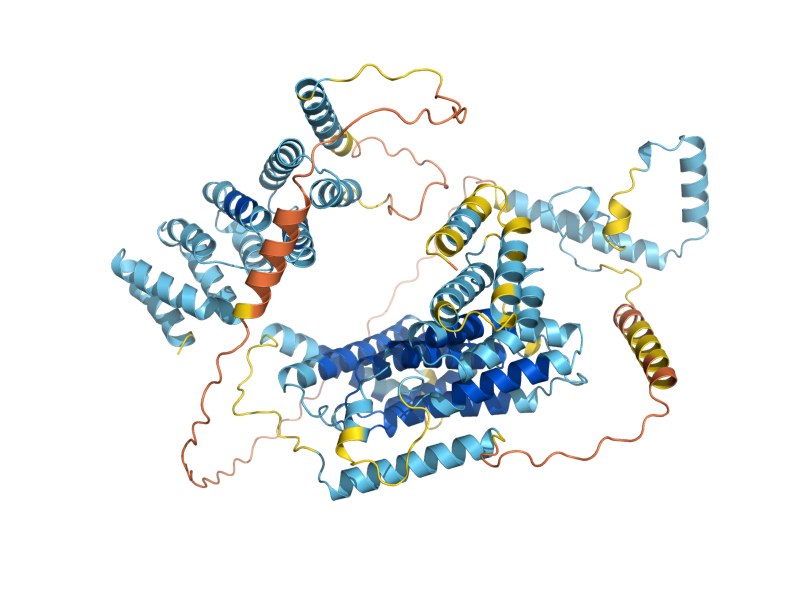 AlphaFold predicted structure of PTA1