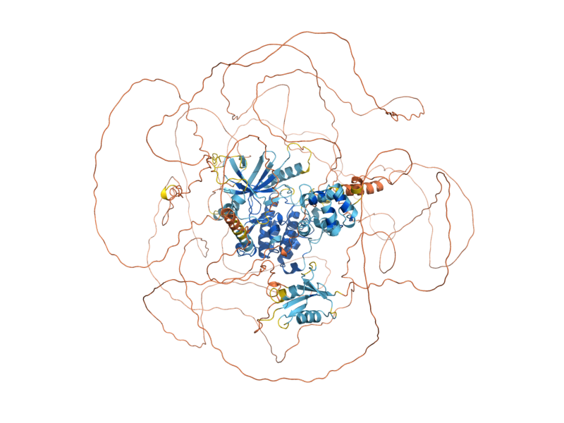 AlphaFold predicted structure of BCK1