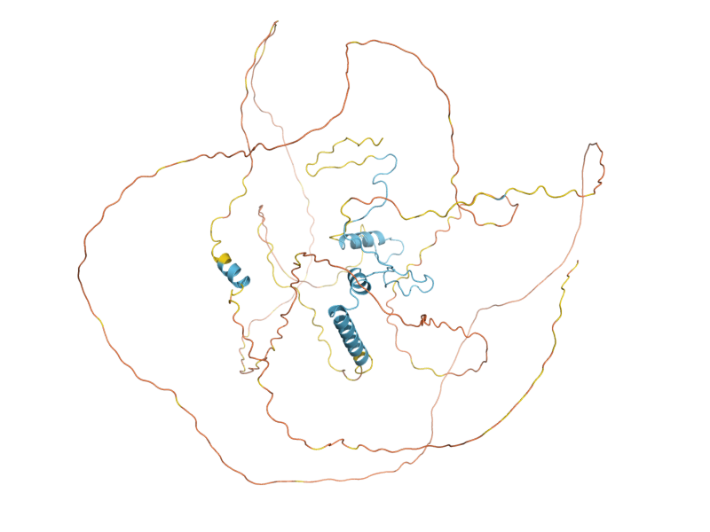 AlphaFold predicted structure of HPC2