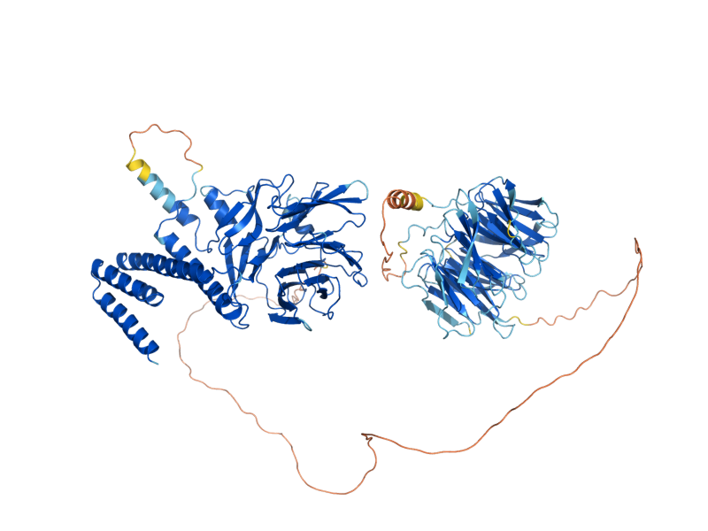 AlphaFold predicted structure of CTF4