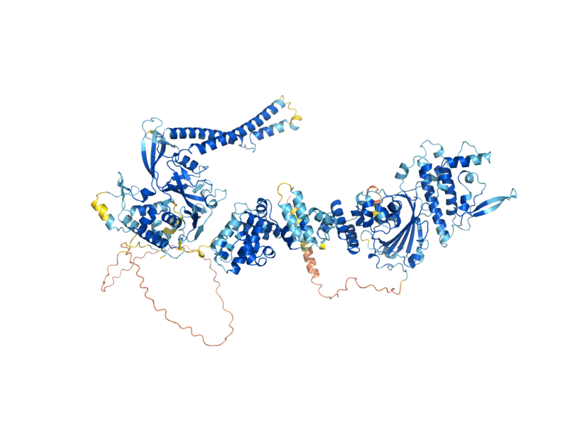 AlphaFold predicted structure of UBP2