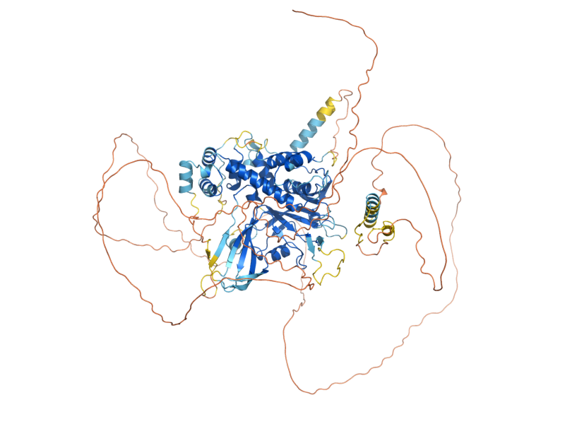 AlphaFold predicted structure of UBP3