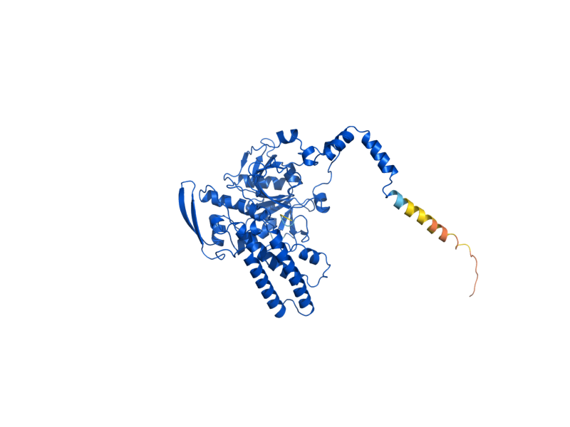 AlphaFold predicted structure of LAP3