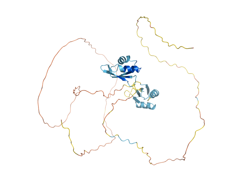 AlphaFold predicted structure of NPL3