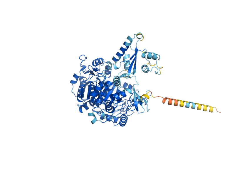 AlphaFold predicted structure of ACS1
