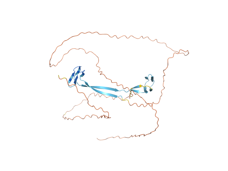 AlphaFold predicted structure of SED1