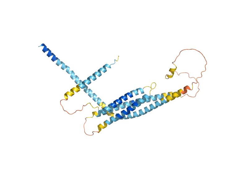 AlphaFold predicted structure of SED5