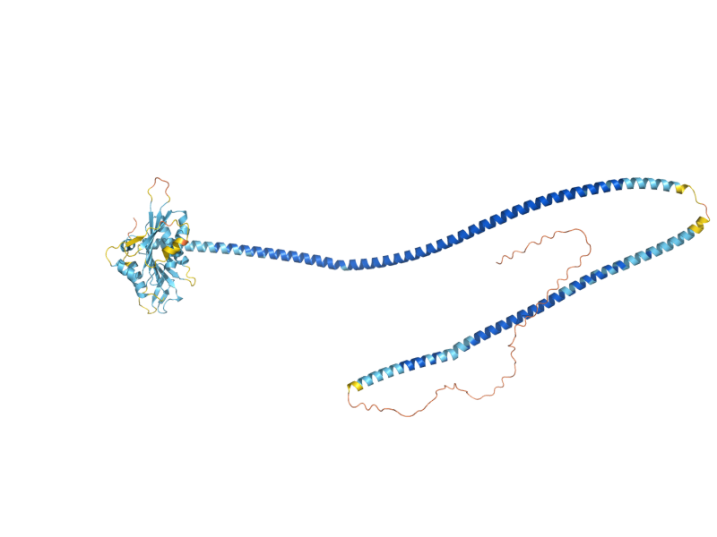 AlphaFold predicted structure of CIK1