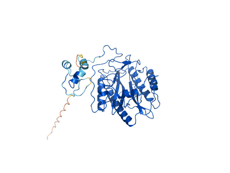 AlphaFold predicted structure of MAP1