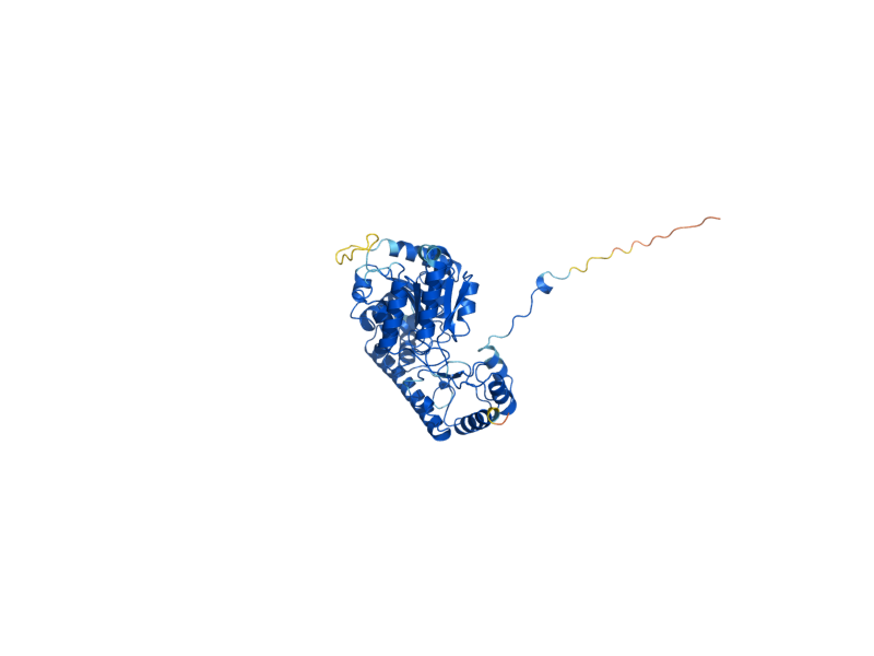 AlphaFold predicted structure of AAT1