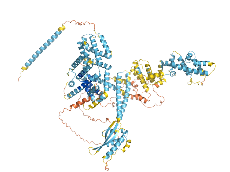 AlphaFold predicted structure of MDM1