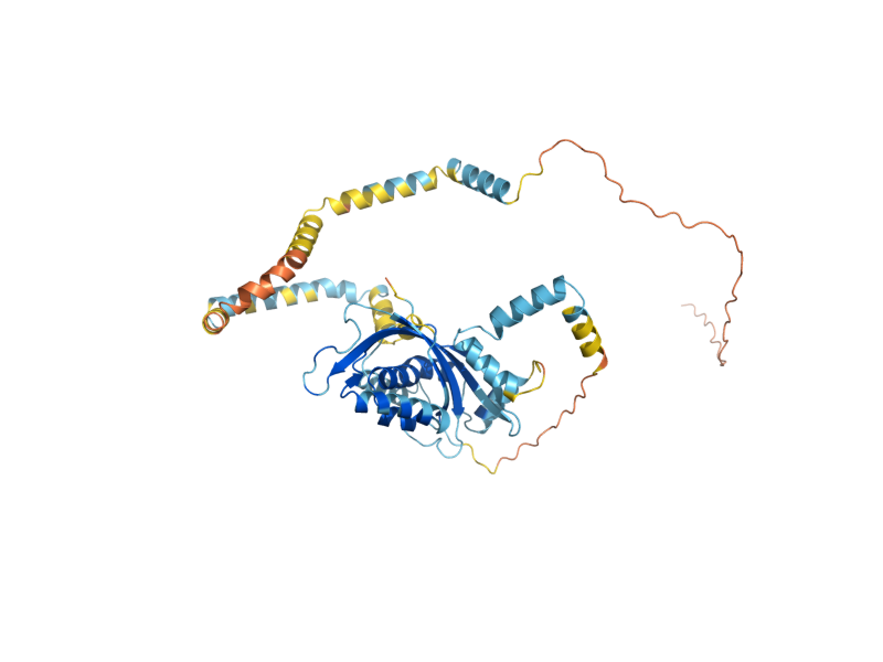 AlphaFold predicted structure of TIM44