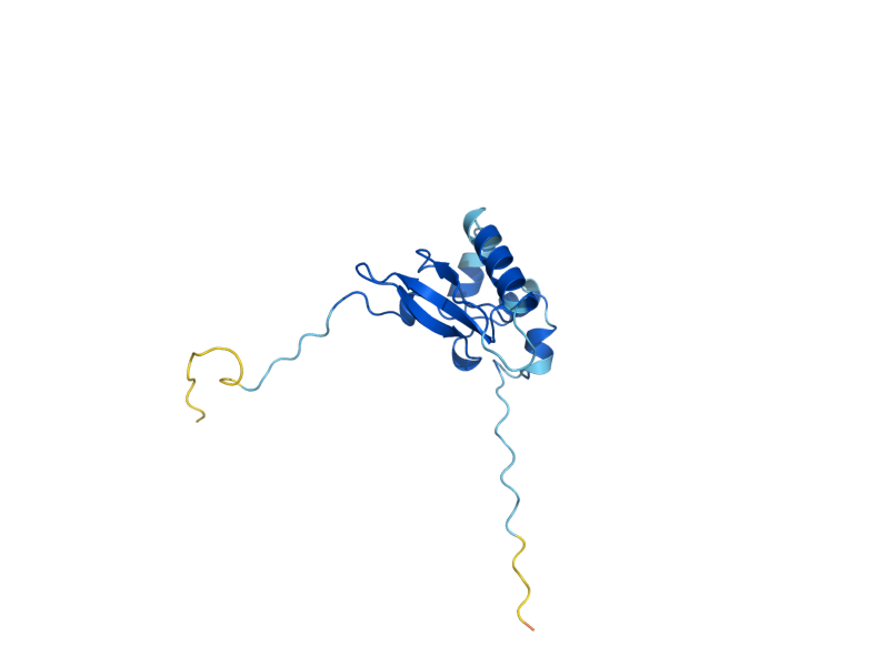 AlphaFold predicted structure of RPS15