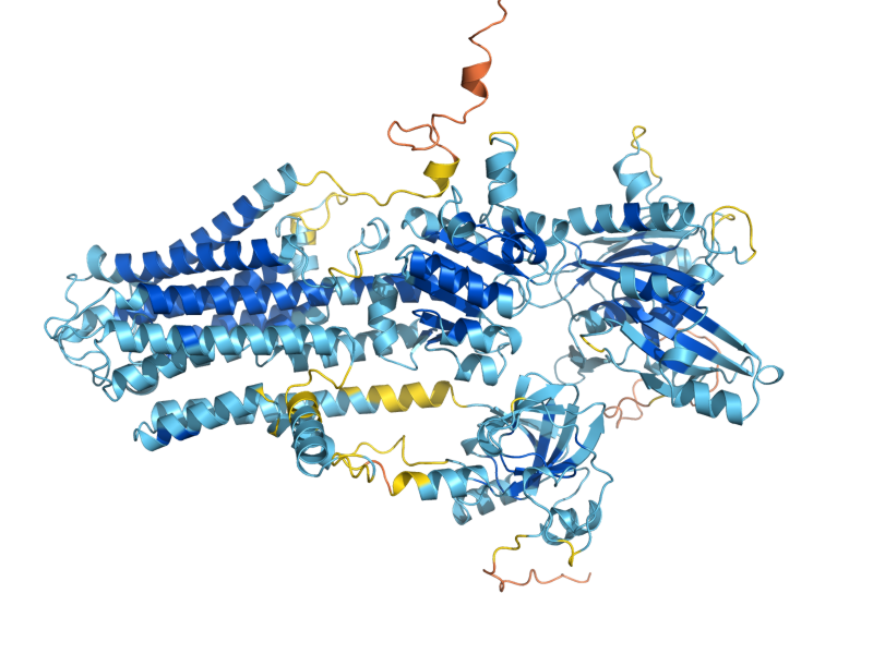 AlphaFold predicted structure of ENA2