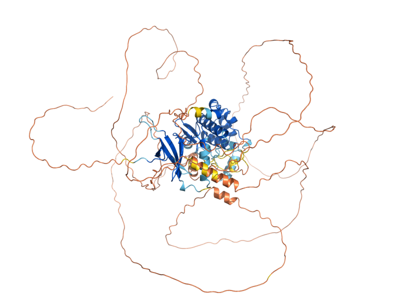 AlphaFold predicted structure of KIN4